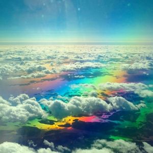 Meet your Posher, Nelli